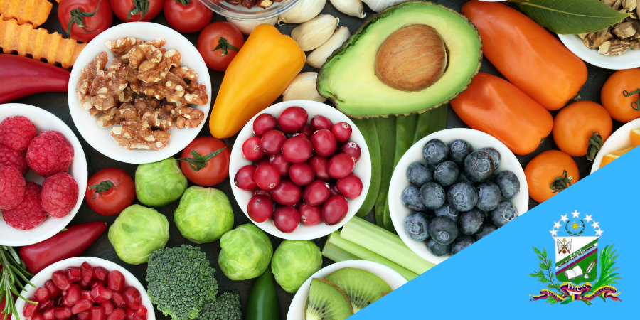 18 de Noviembre | Día Nacional de la alimentación