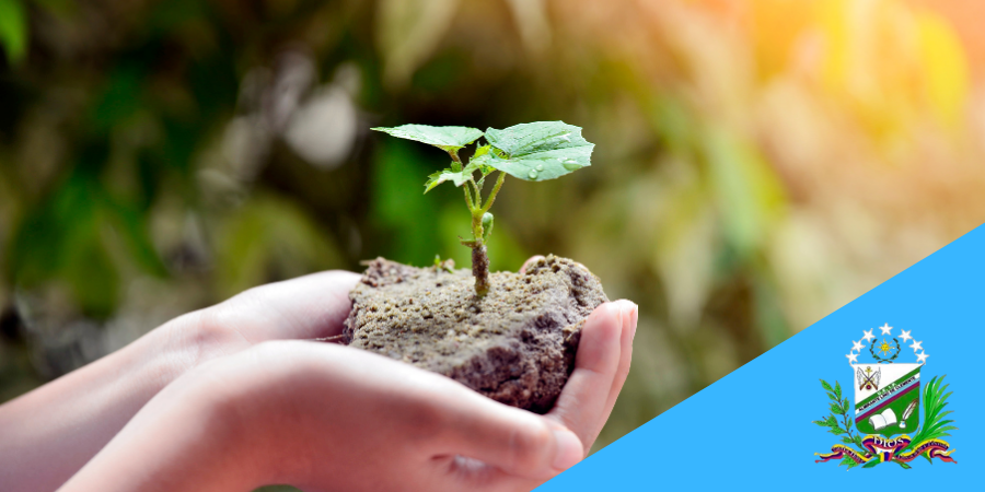 01 de Noviembre | Día Mundial de la ecología